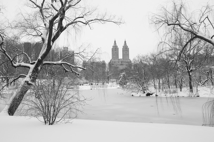 The Lake in Snow, Central Park, 2013.