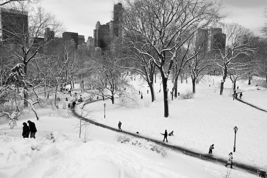 Playing in Snow, Central Park, 2013.