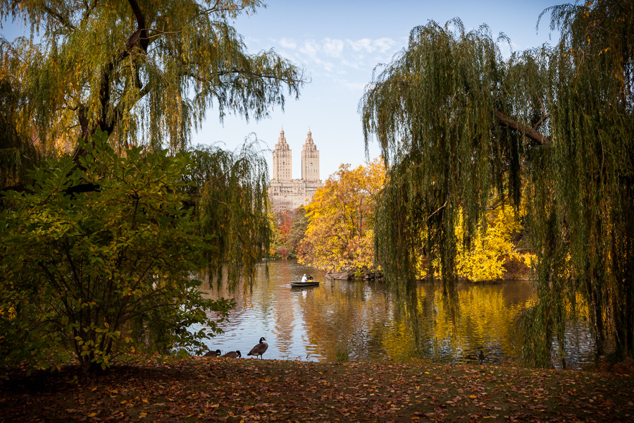 The Lake with Fall Foliage, Central Park, 2013.