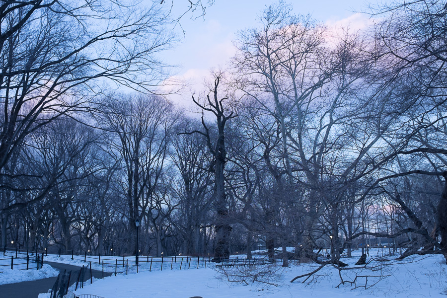 Winter Snowstorm at Dusk, Central Park, 2015.