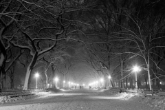 Literary (Poets') Walk in Night Snowstorm, Central Park, 2010.