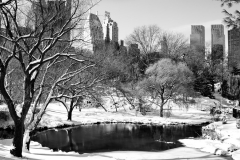 The Pond and Snow, Central Park, 2006.