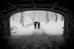 Couple in Snowstorm, Central Park, 2006.