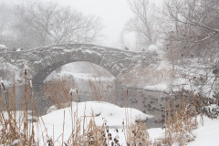 Gapstow Bridge and Snowstorm, 2018