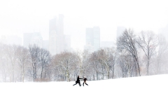 6_chase_sheep_meadow_central_park_new_york