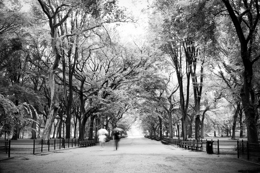 Literary (Poets') Walk, Central Park, 2009.