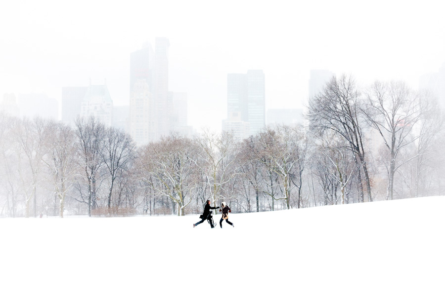 The Chase in Sheep Meadow, Central Park, 2010.