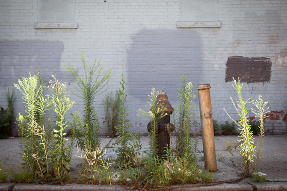 Gowanus Fire Hydrant