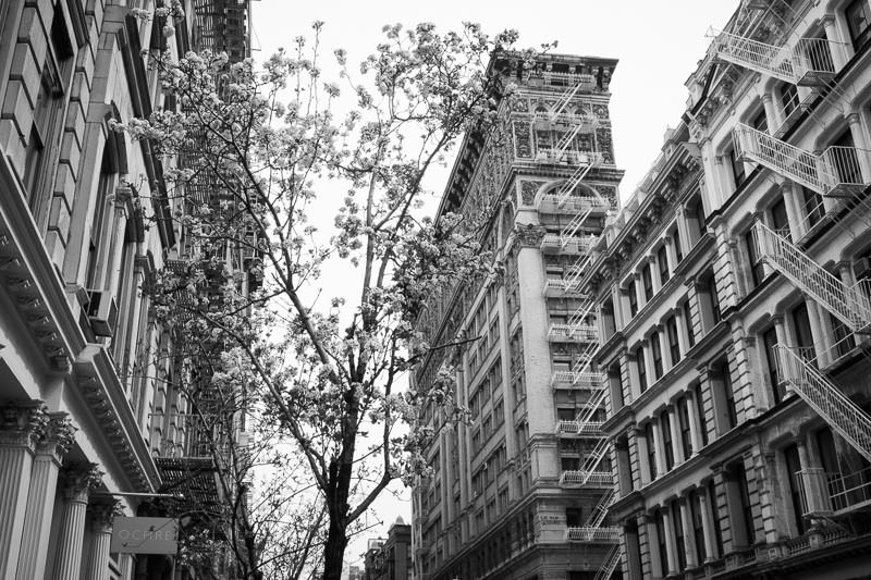 Cast-Iron Architecture, SoHo and Greene Street, New York Photography