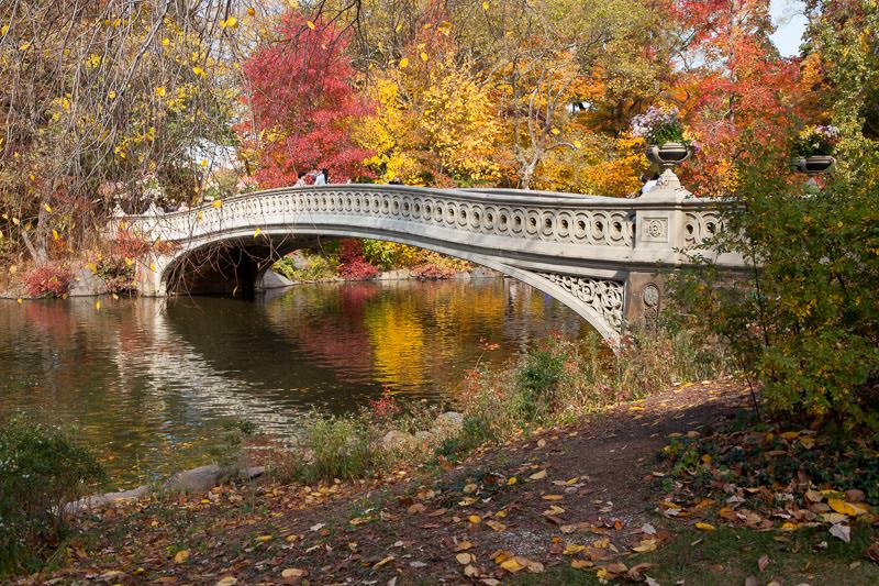 Bow Bridge in Fall, Central Park, New York Photography