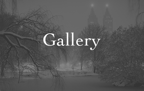 New York Photography Gallery