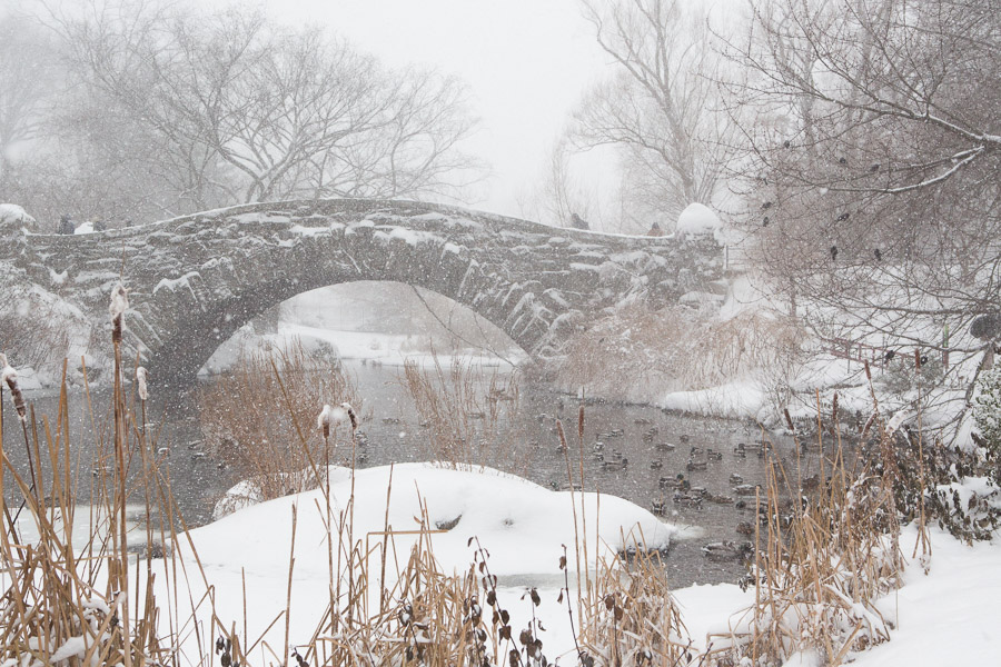 Gapstow Bridge, Central Park - The Best and Most Unique Photo Places in NYC
