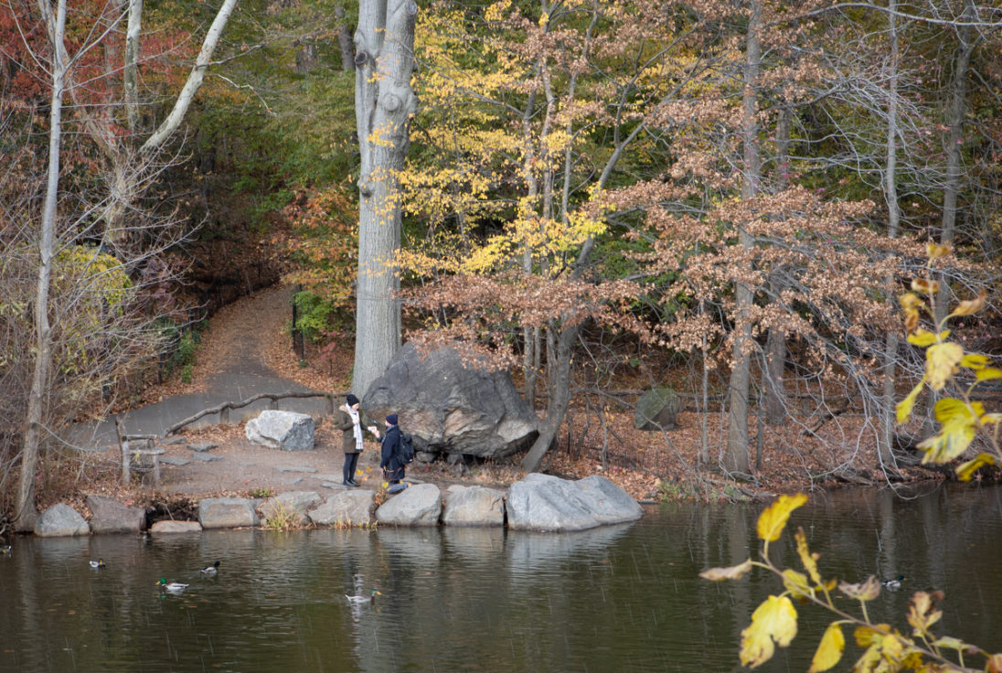 Central Park Proposals, Engagements, and Weddings