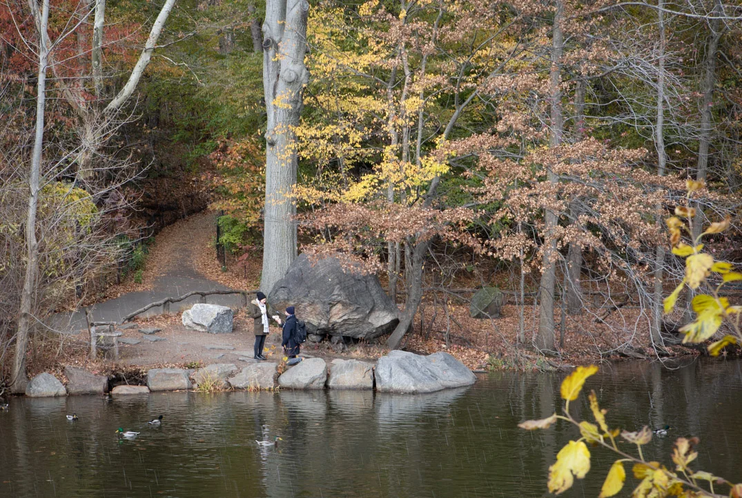 Families, Couples, and Engagement Photography