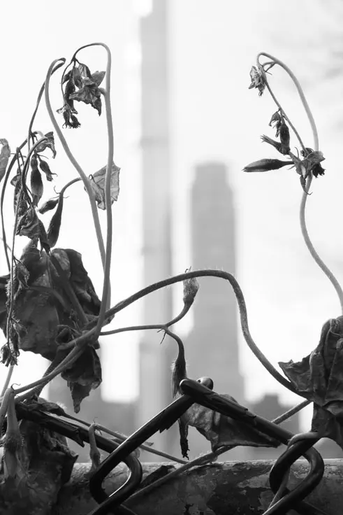 Central Park South skyscrapers on a NY photo tour.