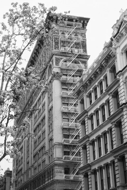 Cast-iron architectural photograph taken during a SoHo architectural photography tour