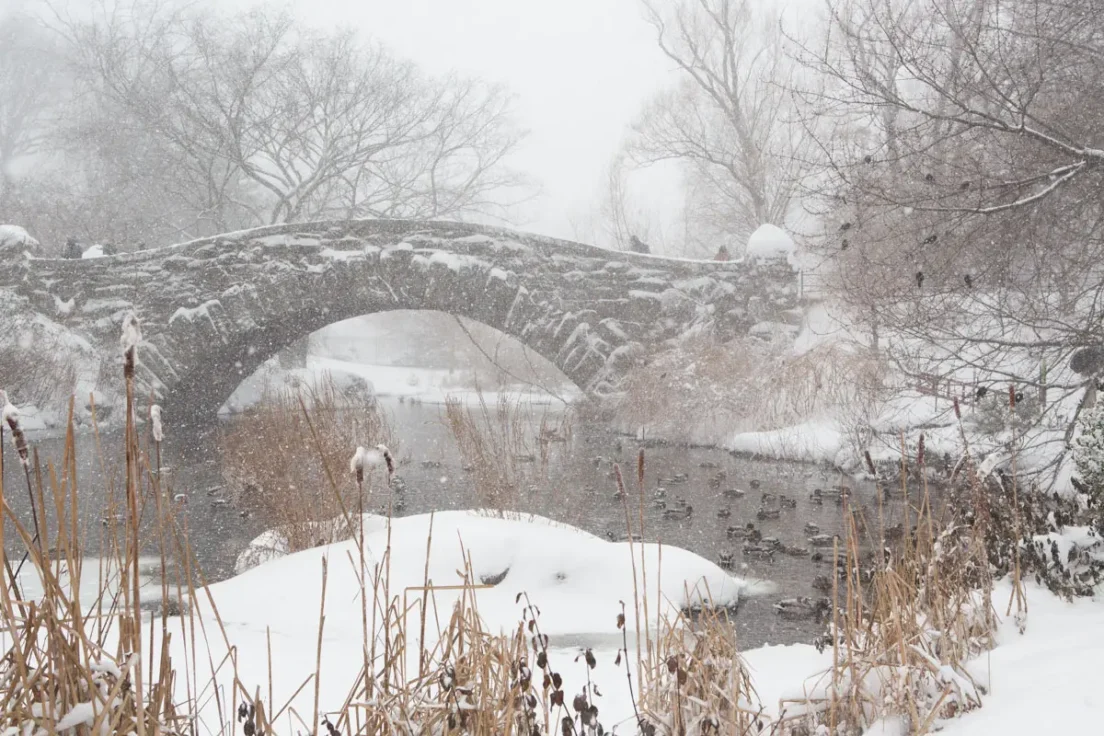 Gapstow Bridge in Snowstorm, Central Park, 2018