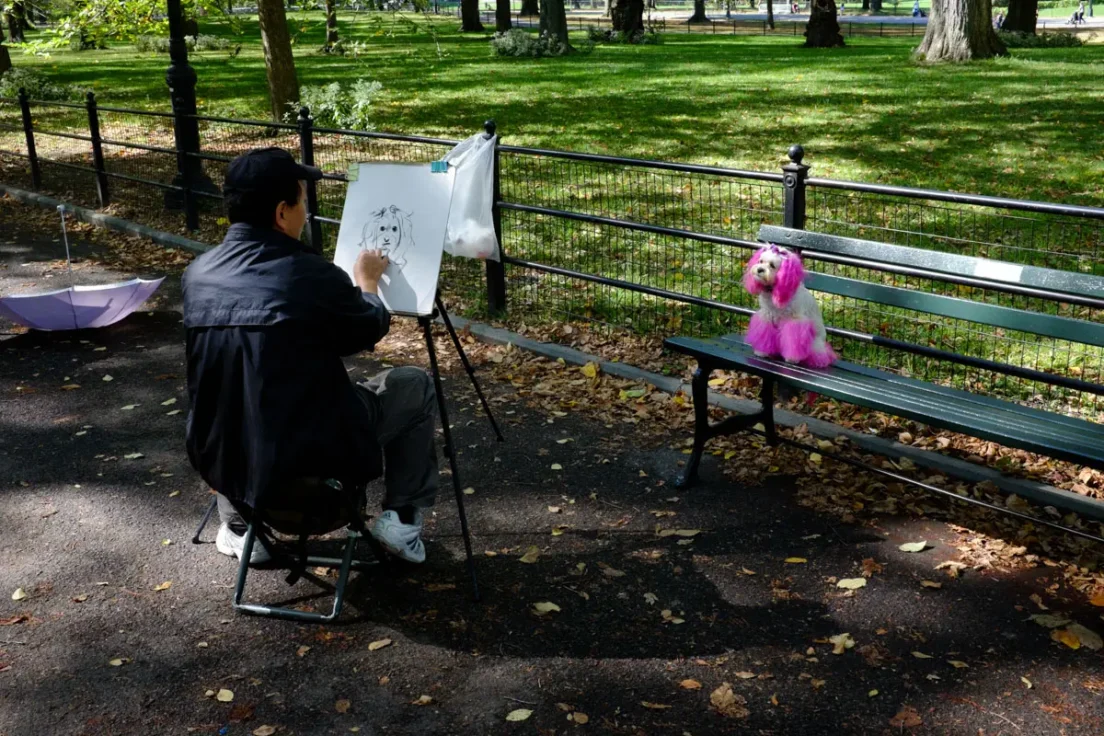 Pink Dog Sketch, Central Park, 2014