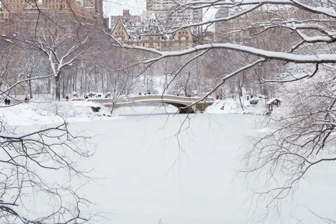Bow Bridge & Dakota in Snow, 2013