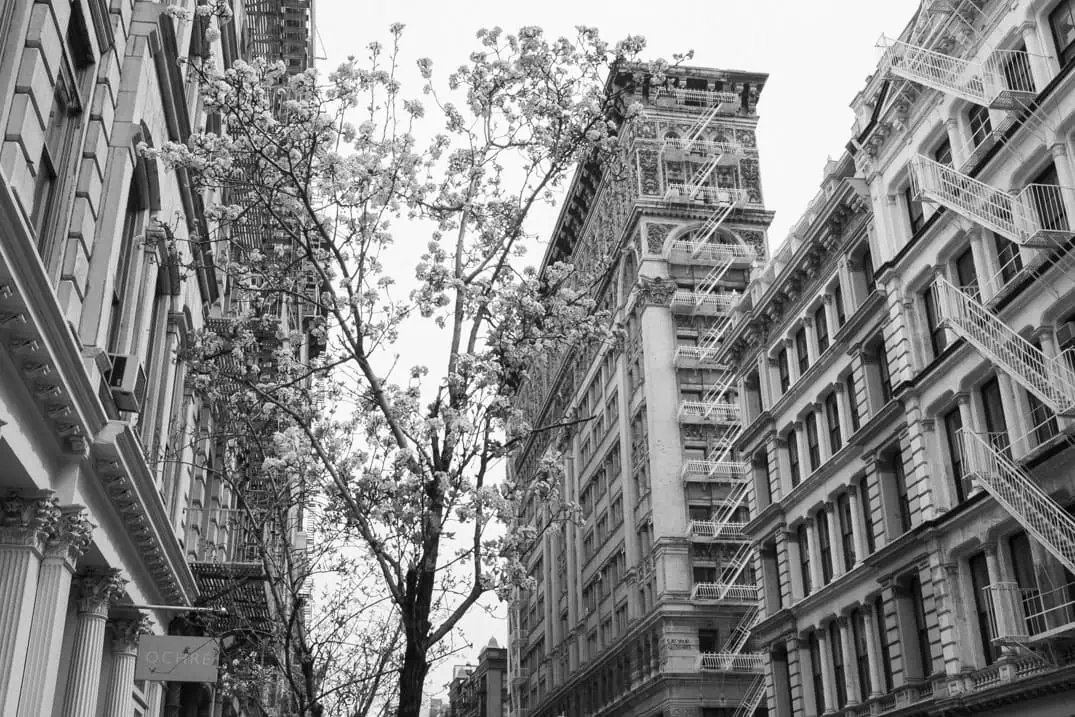 Black and white architecture photo tour of SoHo cast iron buildings