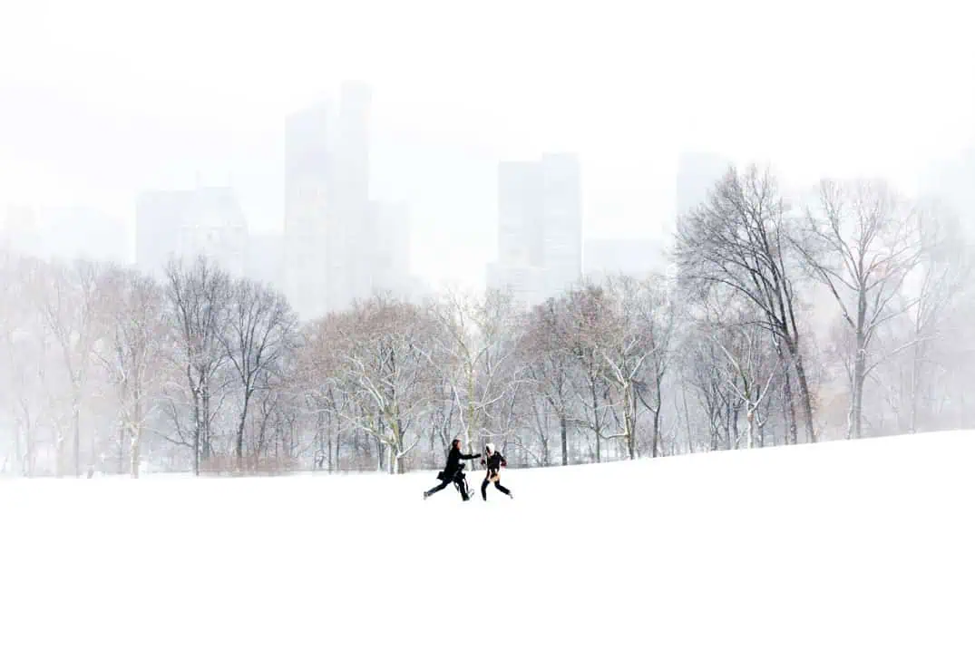 Central Park photography workshop - The chase in Sheep Meadow