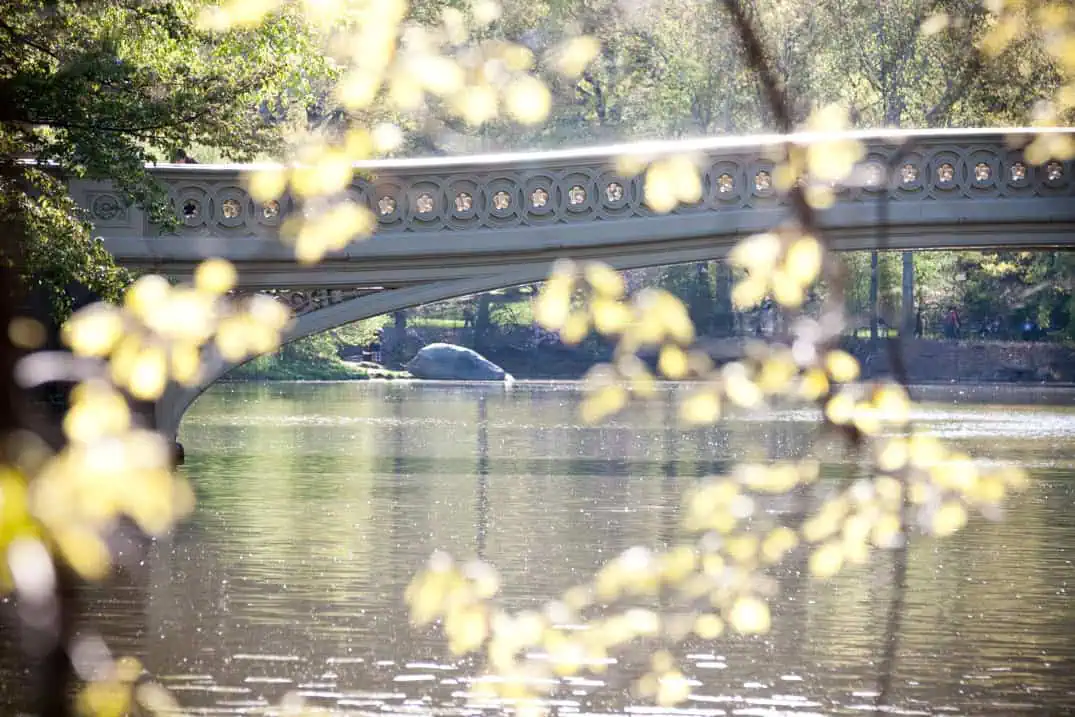 Bow Bridge and Lake, Central Park, New York photo tour