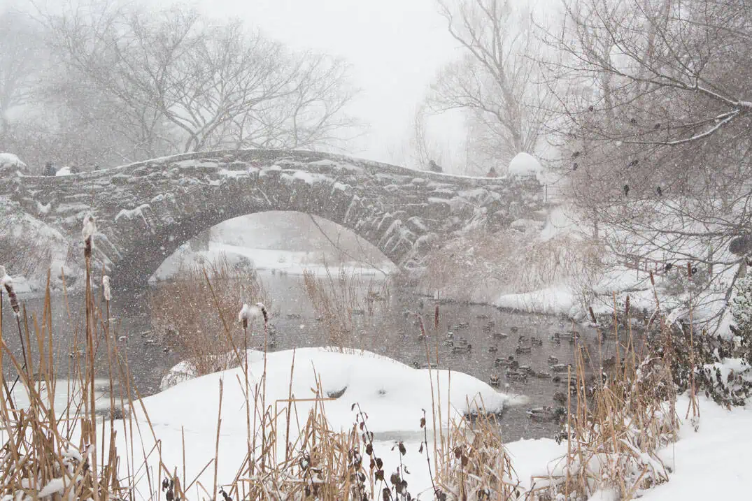 NYC Central Park photo tour - Gapstow Bridge and Pond in Snowstorm, Central Park