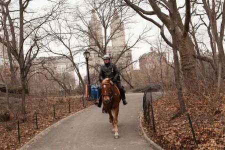 Park Ranger & San Remo, The Ramble, Central Park, 2013