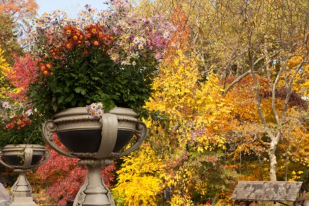 Bow Bridge Urn in Fall, 2013