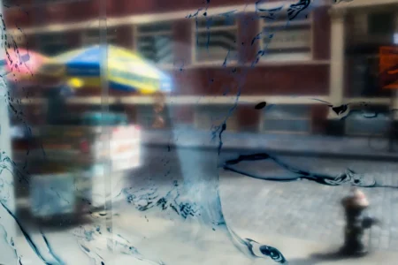 Fire Hydrant, Hot Dog Stand, & Blue Stain, 2015