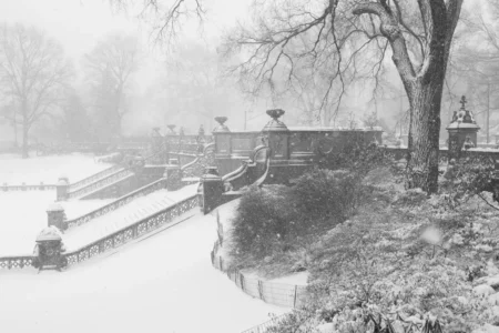 Bethesda Terrace, Central Park, 2018