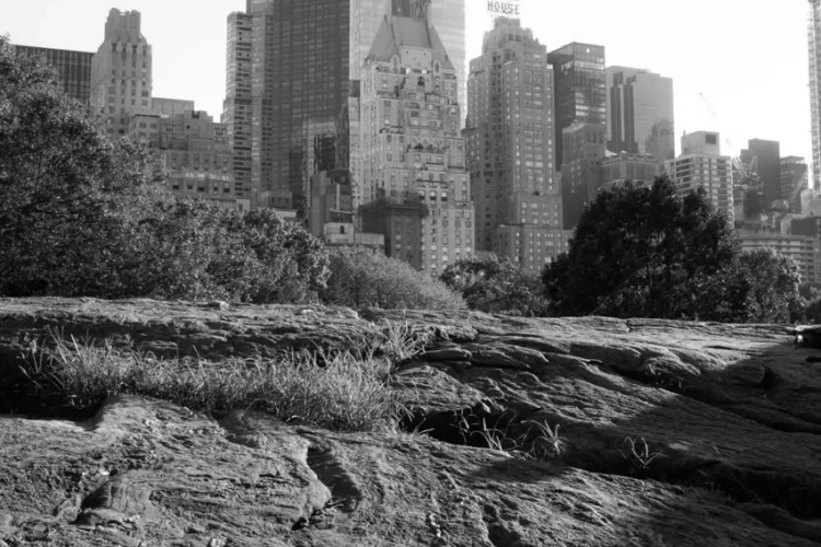 Manhattan Schist and One57, Central Park, 2016