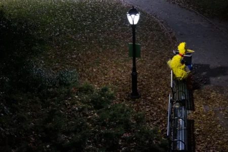 Big Bird, Central Park, 2016