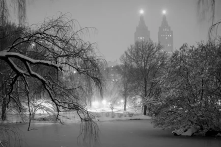 The Lake in Night Snowstorm, Central Park, 2010