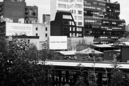 I Love You Earth, Highline, 2017