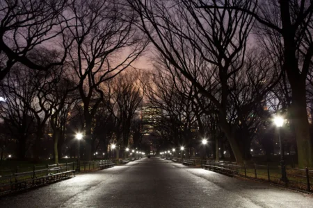 The Mall at Dusk, Central Park, 2014