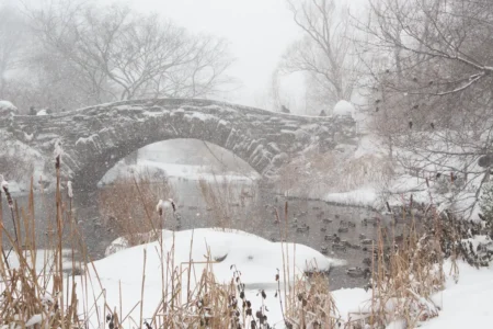 Gapstow Bridge in Snowstorm, Central Park, 2018