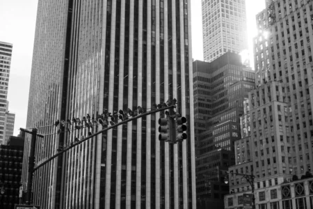 Pigeons and Skyscrapers, Central Park South (B&W), 2019