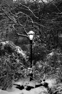 Central Park Lamppost in Snowstorm