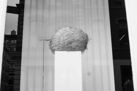 Orb, Greene Street, 2019