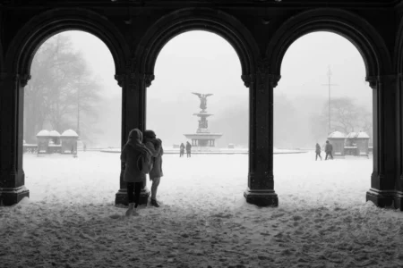 Bethesda Fountain & Arch in Snowstorm, 2018
