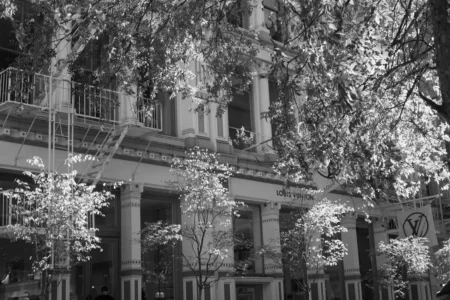 Cast Iron and Trees, Louis Vuitton, SoHo, 2021