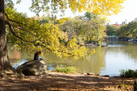 Reading by The Lake, Central Park, 2018