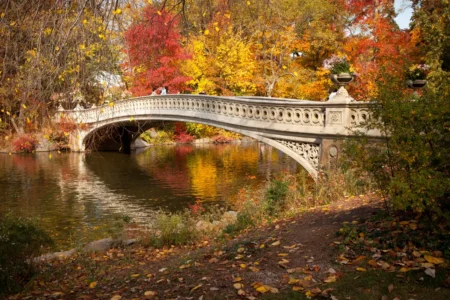 Bow Bridge in Fall, Central Park, 2013