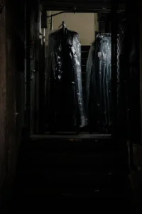 Cortlandt Alley Dresses & Stairway, 2024