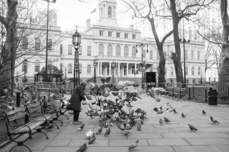 Feeding Pigeons, City Hall, 2017