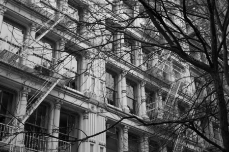 Greene Street Cast Iron & Tree, 2019