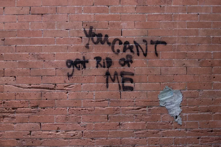 You Can't Get Rid of Me, Tribeca, 2018