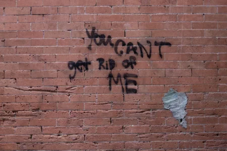 You Can't Get Rid of Me, Tribeca, 2018