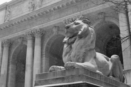 New York Public Library Lion in Snowstorm, 2014